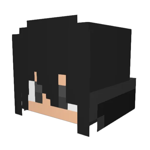 Soarsgh Minecraft avatar head, 3D render