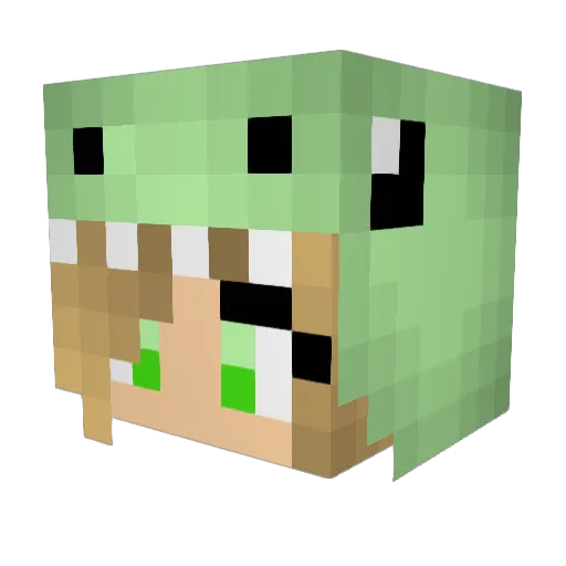 Soartex_ Minecraft avatar head, 3D render