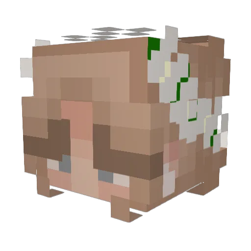Soazpoton Minecraft avatar head, 3D render