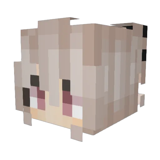 Sobakakola Minecraft avatar head, 3D render