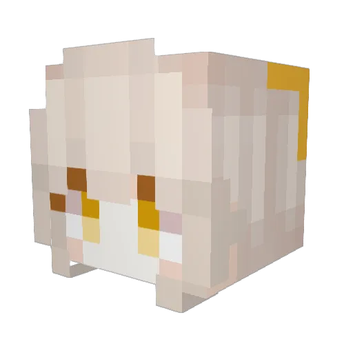 Sobany_ Minecraft avatar head, 3D render