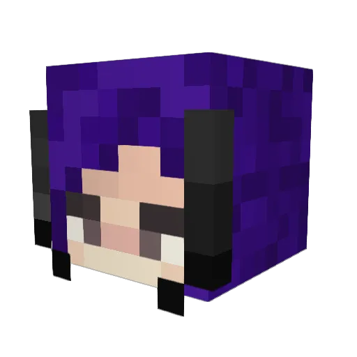SobbingAcorn6 Minecraft avatar head, 3D render