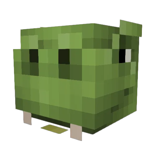 Sobek17 Minecraft avatar head, 3D render