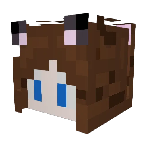 Sobiesia Minecraft avatar head, 3D render