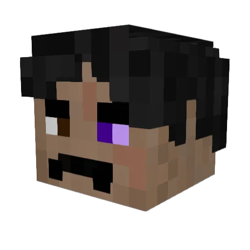Sobrinho Minecraft avatar head, 3D render