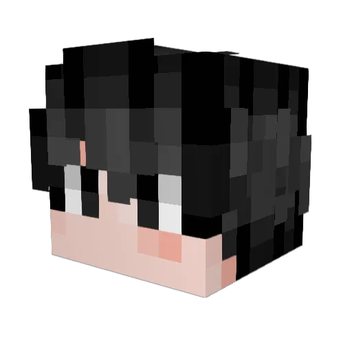 Soc0 Minecraft avatar head, 3D render