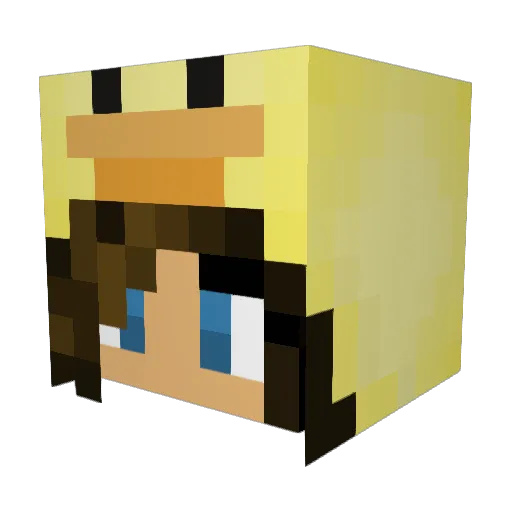 Soccer8140 Minecraft avatar head, 3D render