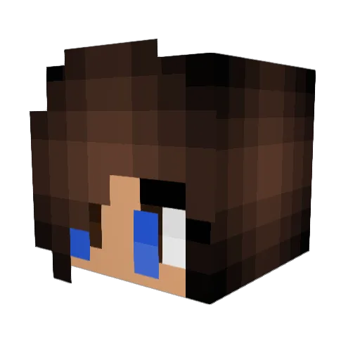 SoccerBoss5948 Minecraft avatar head, 3D render