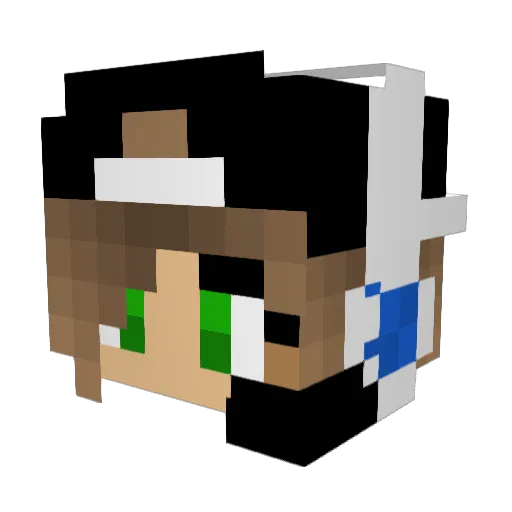SoccerCool186 Minecraft avatar head, 3D render