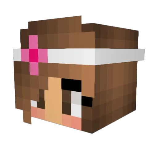SoccerCricket24 Minecraft avatar head, 3D render