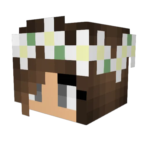 SoccerDoogie Minecraft avatar head, 3D render