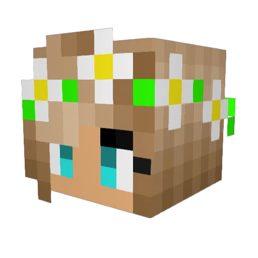 SoccerGirl2416 Minecraft avatar head, 3D render