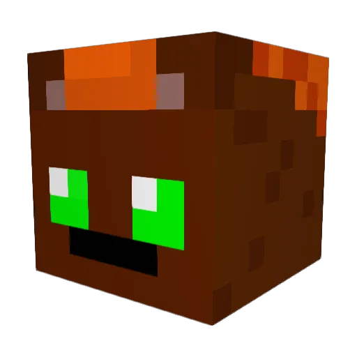 SoccerMonkey9 Minecraft avatar head, 3D render