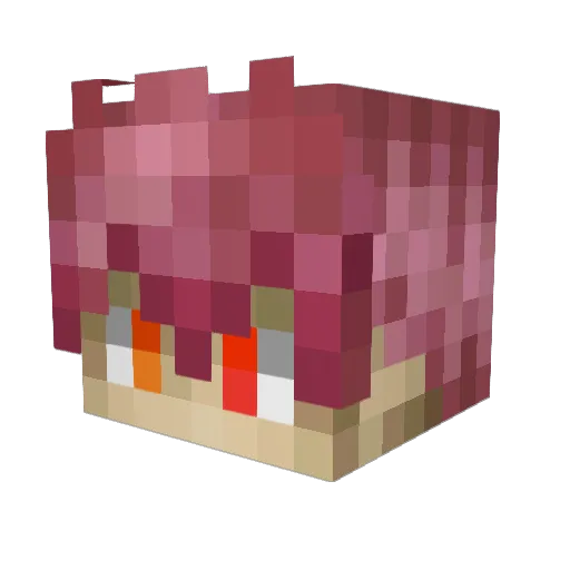 SoccerSeth07 Minecraft avatar head, 3D render