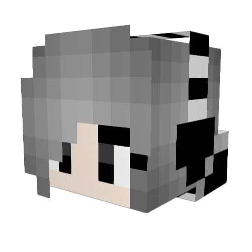Soccer_Alexa44 Minecraft avatar head, 3D render