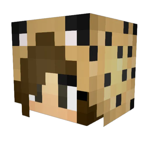 Soccer_Grl_13 Minecraft avatar head, 3D render