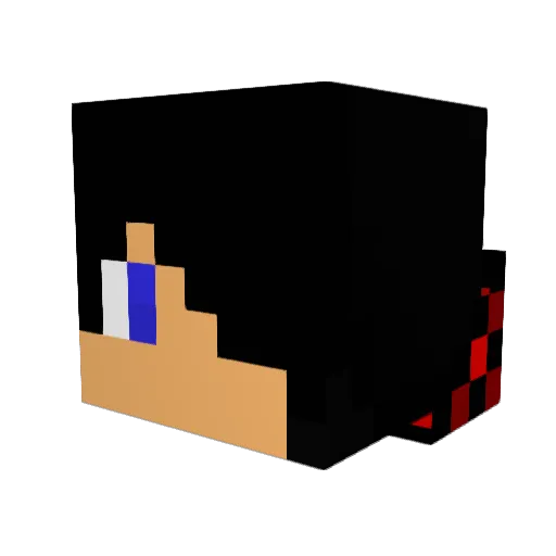 Soccer_boy24 Minecraft avatar head, 3D render