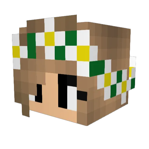 Soccera Minecraft avatar head, 3D render