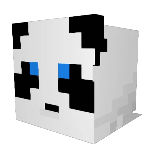 SoccerbudNate Minecraft avatar head, 3D render