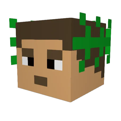 Soccermvp13 Minecraft avatar head, 3D render