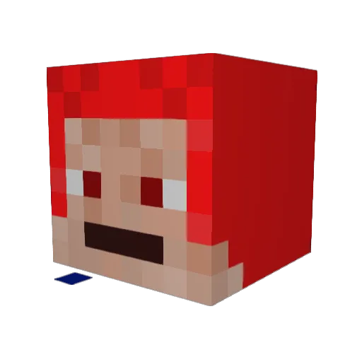Soccerwolf890 Minecraft avatar head, 3D render