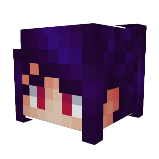 Socchi_ Minecraft avatar head, 3D render