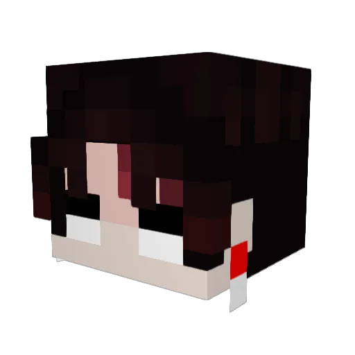 Sochal81 Minecraft avatar head, 3D render