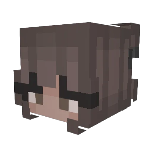 SochiOnAcid Minecraft avatar head, 3D render