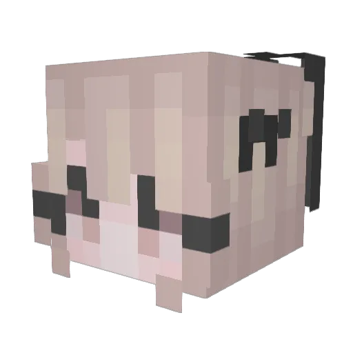 Sochi__ Minecraft avatar head, 3D render
