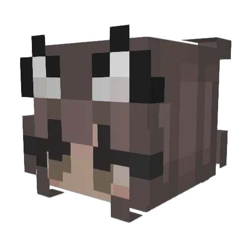 Sociliesee Minecraft avatar head, 3D render