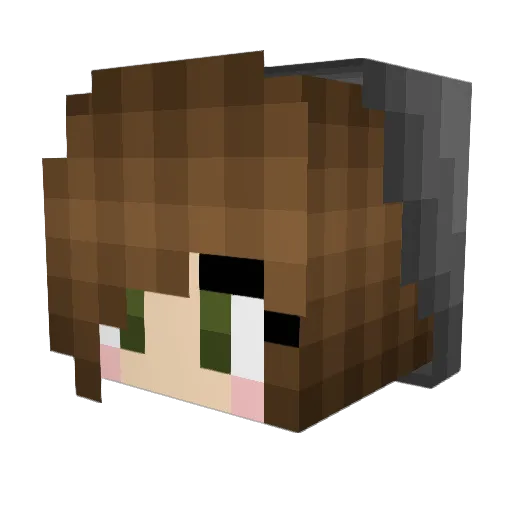 SockCr33p3r Minecraft avatar head, 3D render