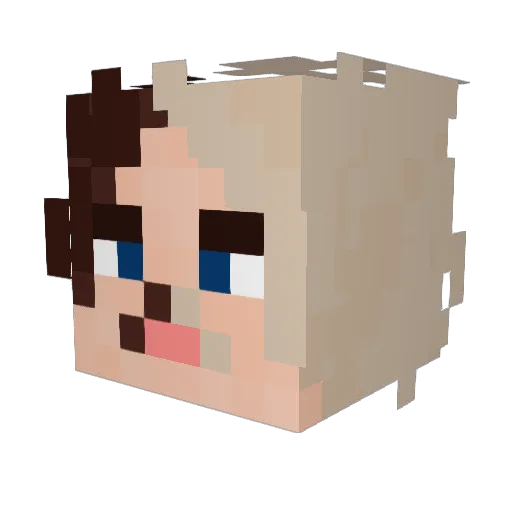 SockNap Minecraft avatar head, 3D render