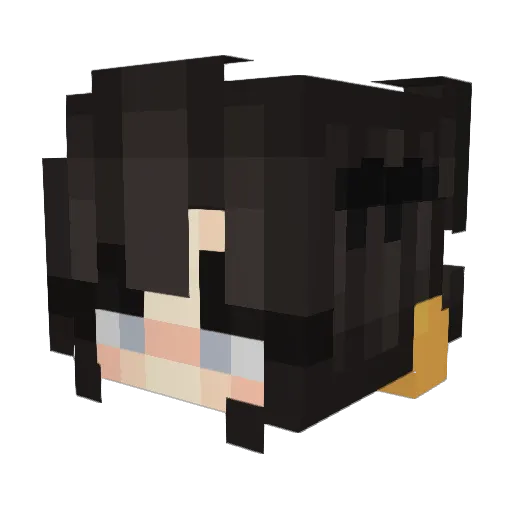 SockTease Minecraft avatar head, 3D render