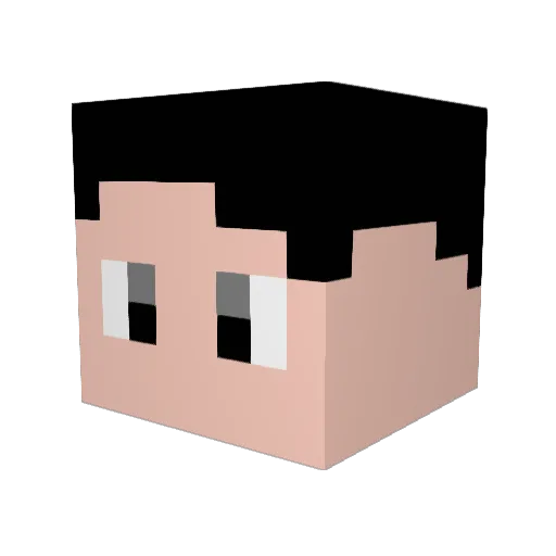 Socket_1203 Minecraft avatar head, 3D render