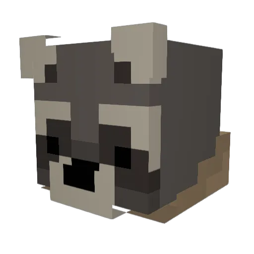 SockfeetJoe Minecraft avatar head, 3D render