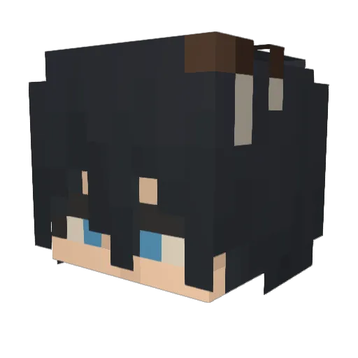 Sockle Minecraft avatar head, 3D render