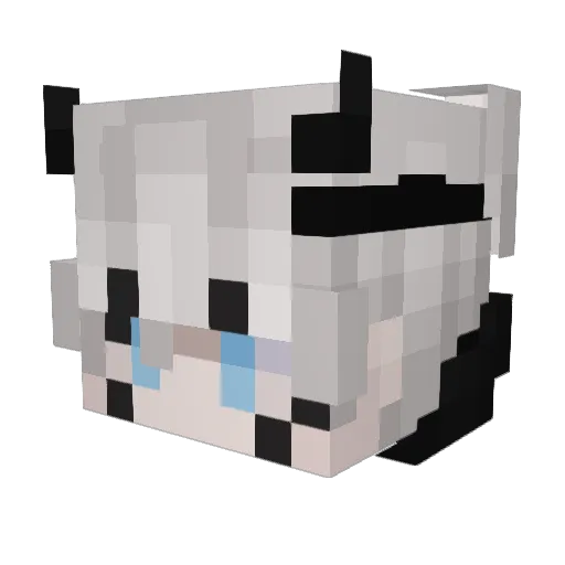 Sockpot21 Minecraft avatar head, 3D render
