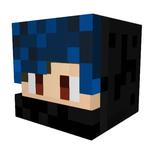 SocksEthan Minecraft avatar head, 3D render