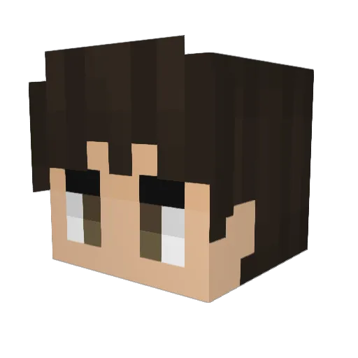 SocksFor1_23 Minecraft avatar head, 3D render