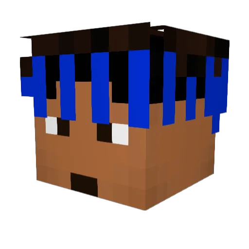 SocksMonster Minecraft avatar head, 3D render