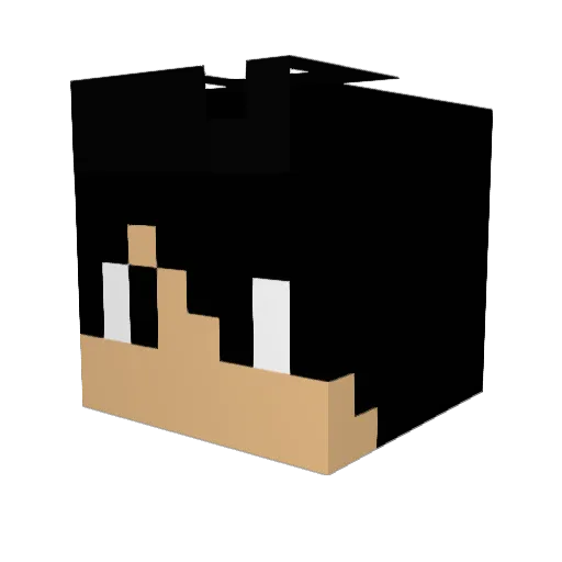 Socksir Minecraft avatar head, 3D render
