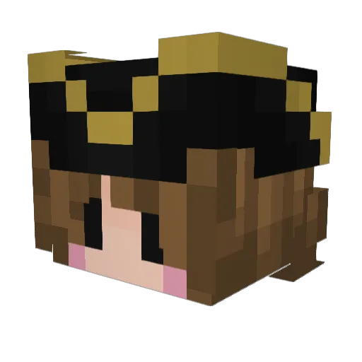 Socksren Minecraft avatar head, 3D render