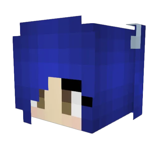 Soclipse Minecraft avatar head, 3D render