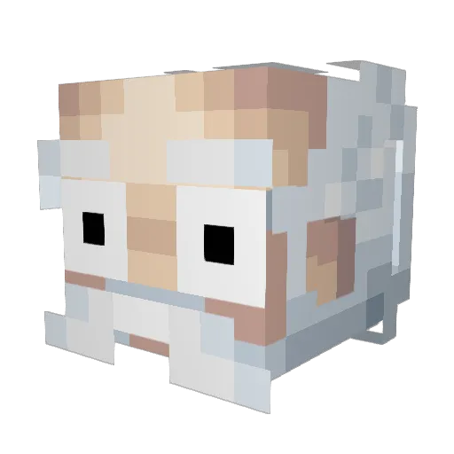 Socratez Minecraft avatar head, 3D render