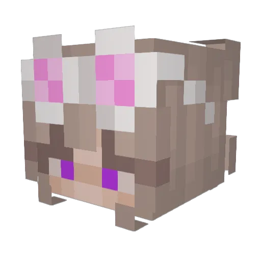 Soczkowna Minecraft avatar head, 3D render