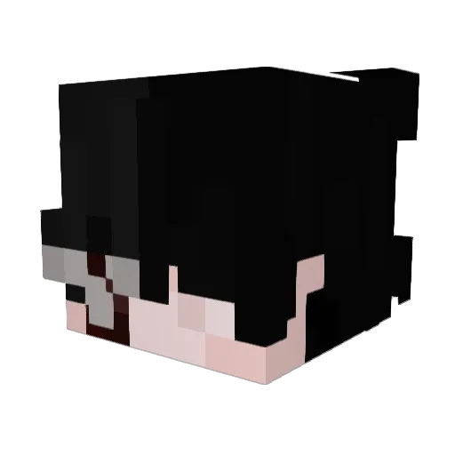SodCookie Minecraft avatar head, 3D render