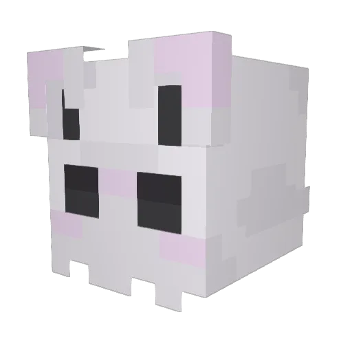 SodaDogs Minecraft avatar head, 3D render