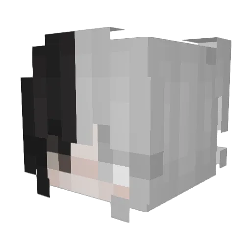 Sodaapop_ Minecraft avatar head, 3D render