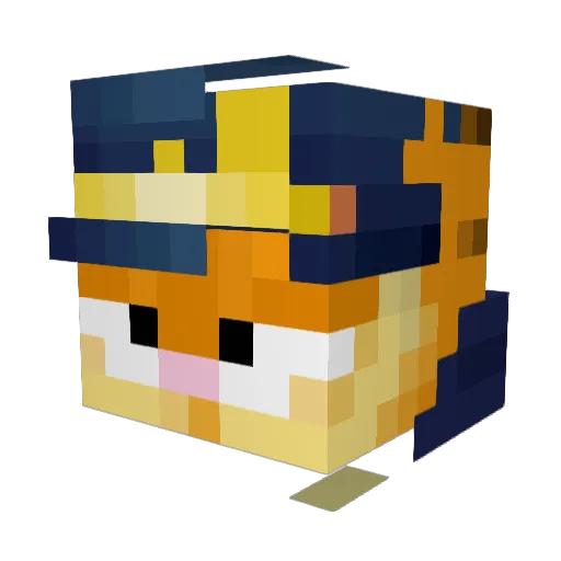 Sodacat1 Minecraft avatar head, 3D render