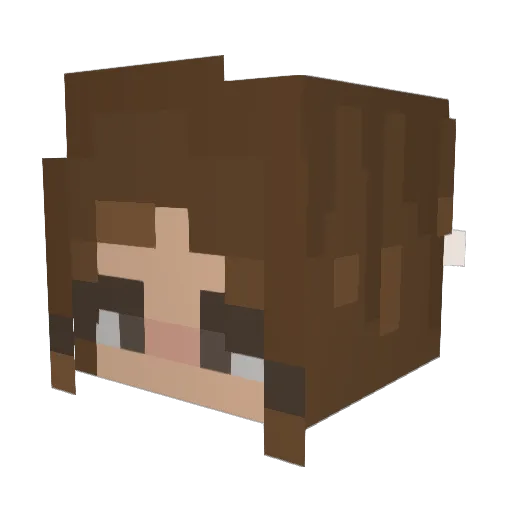 Sodakiwi Minecraft avatar head, 3D render